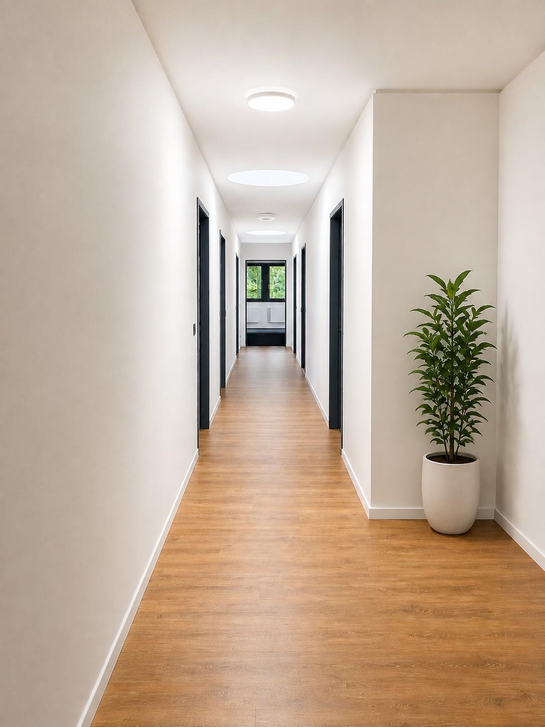 532m² commercial