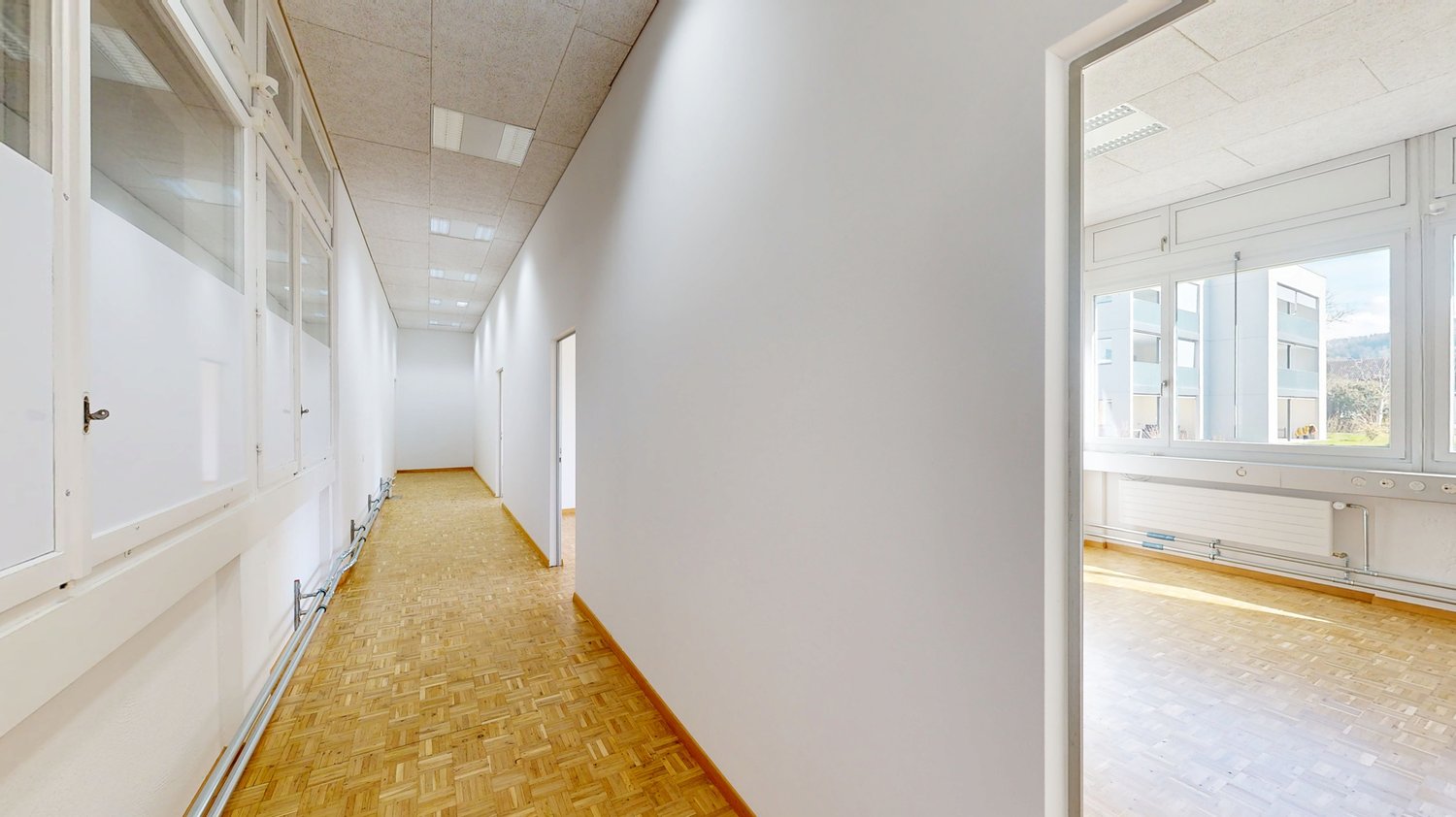 282m² office