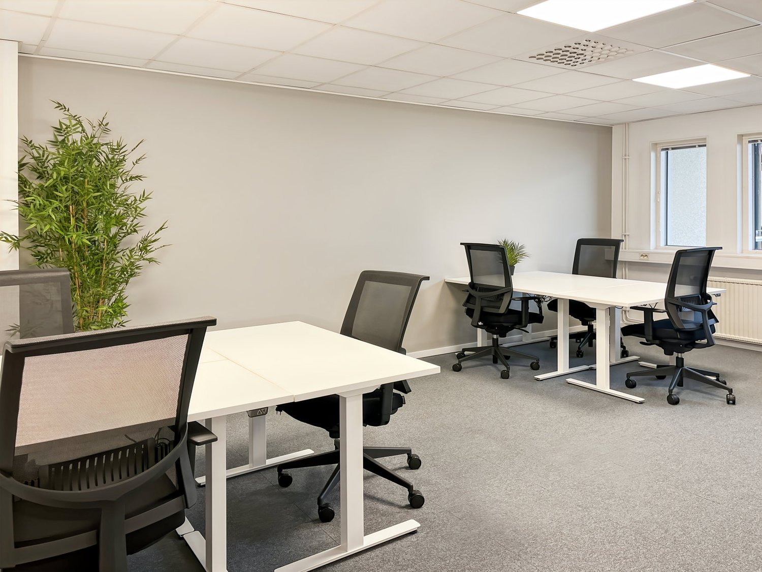 225m² bureau, photo 1 sur 10