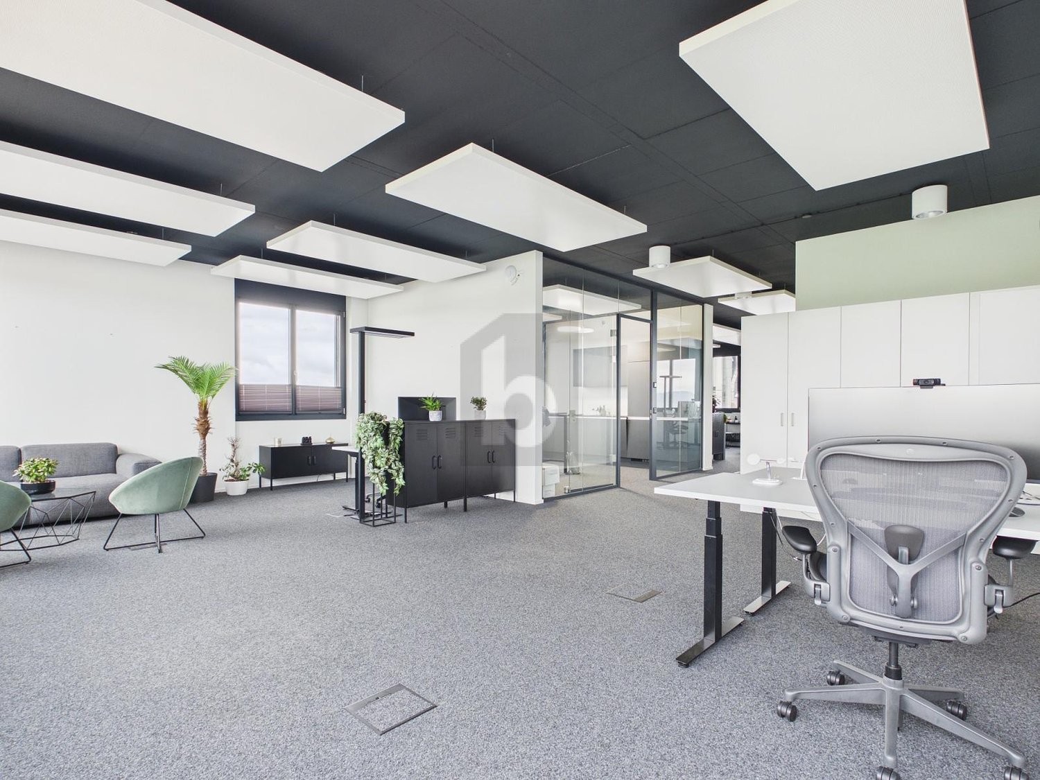 243m² bureau, photo 2 sur 4