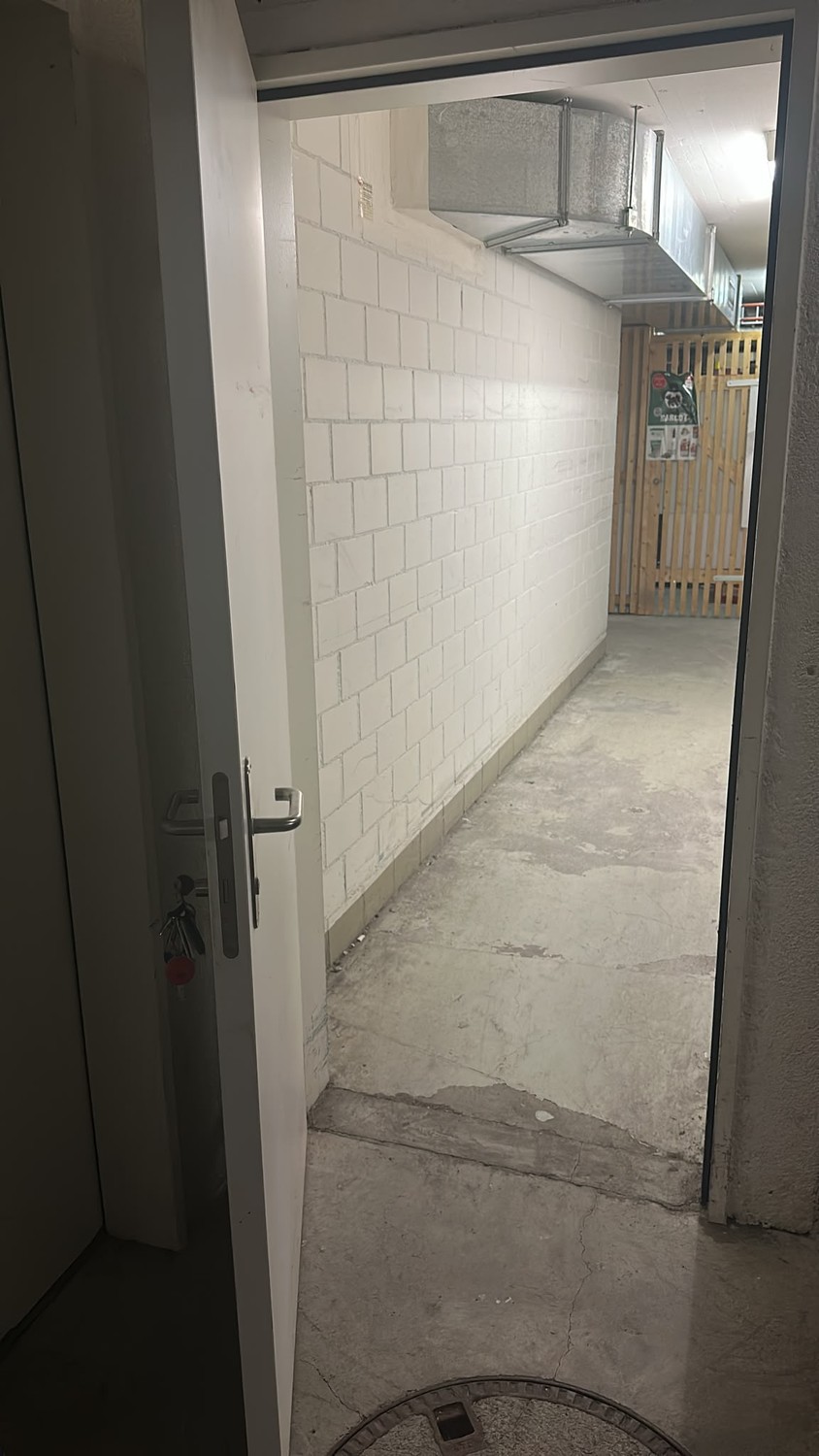 29m² commerciale