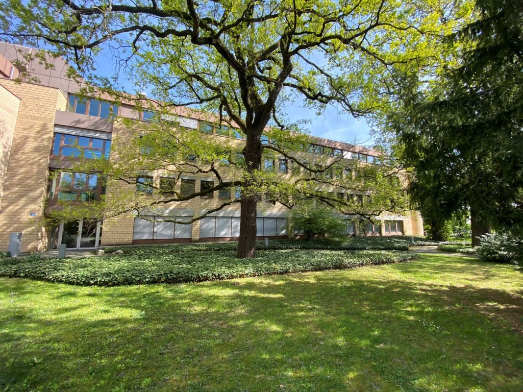 27m² office