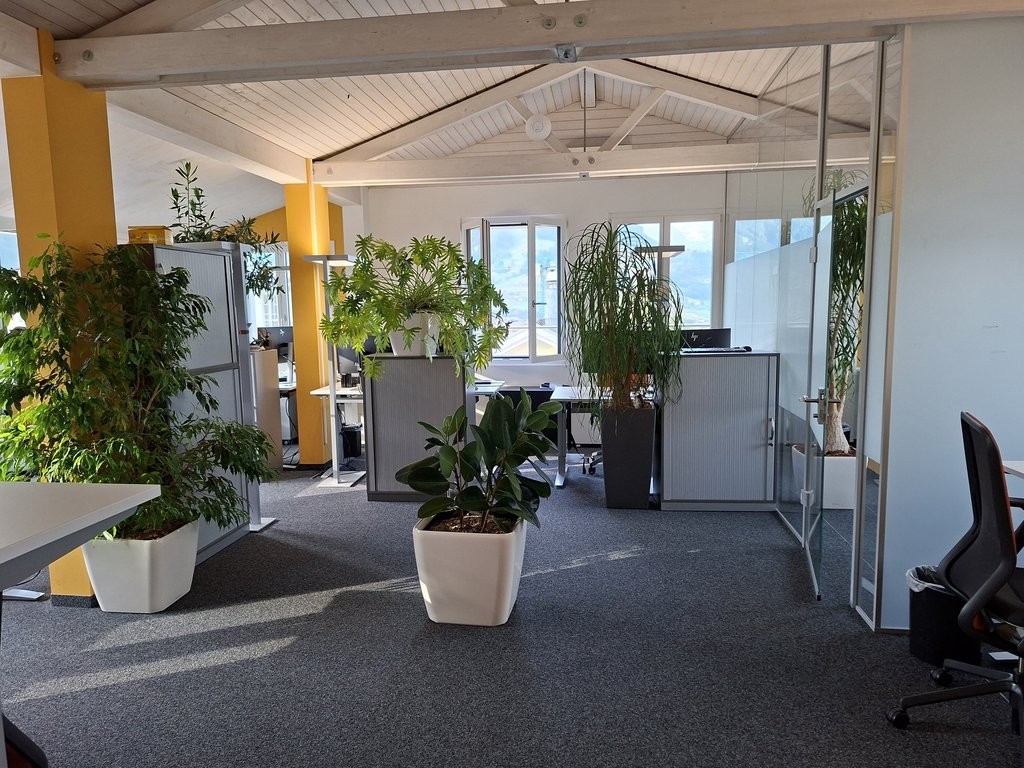 124m² office