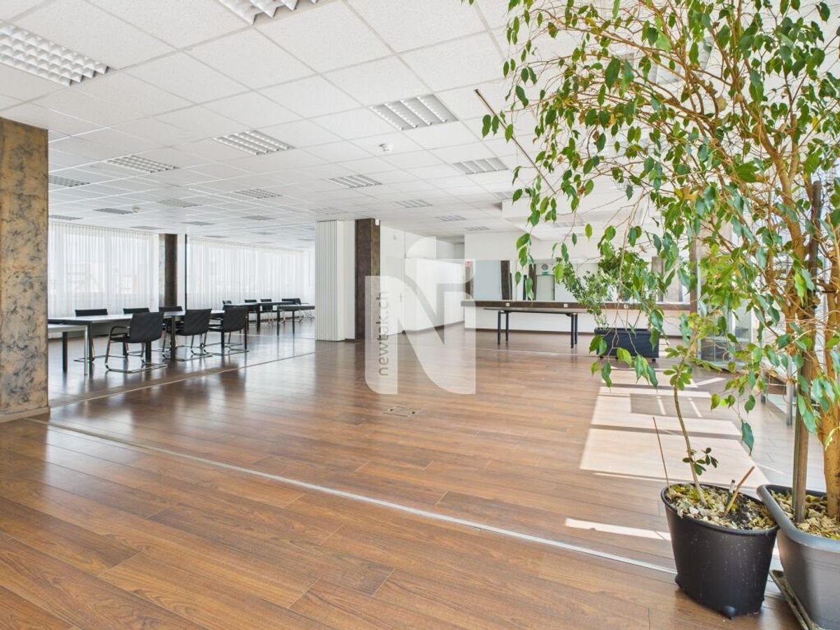 600m² office