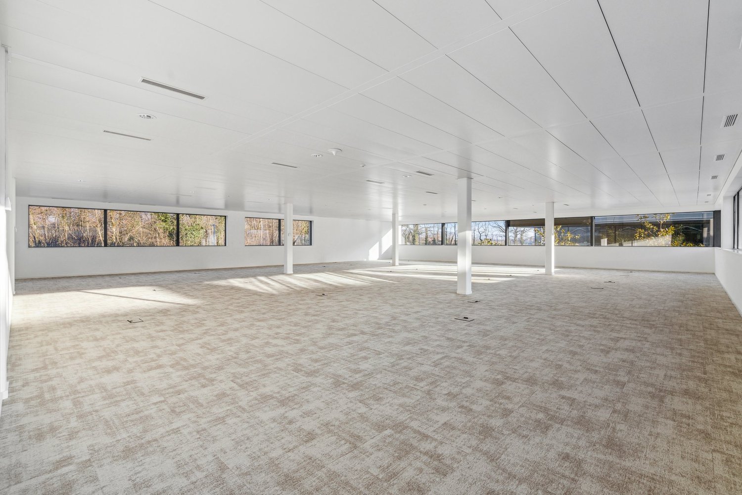254m² office
