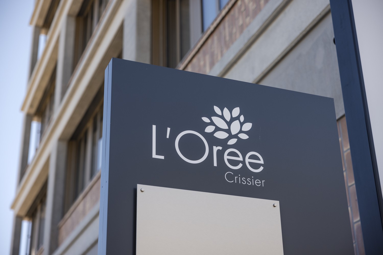 93m² Büro