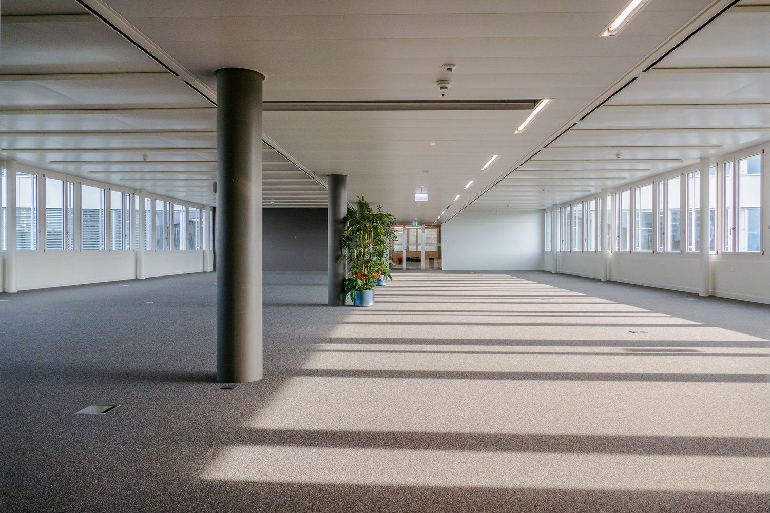 1424m² office