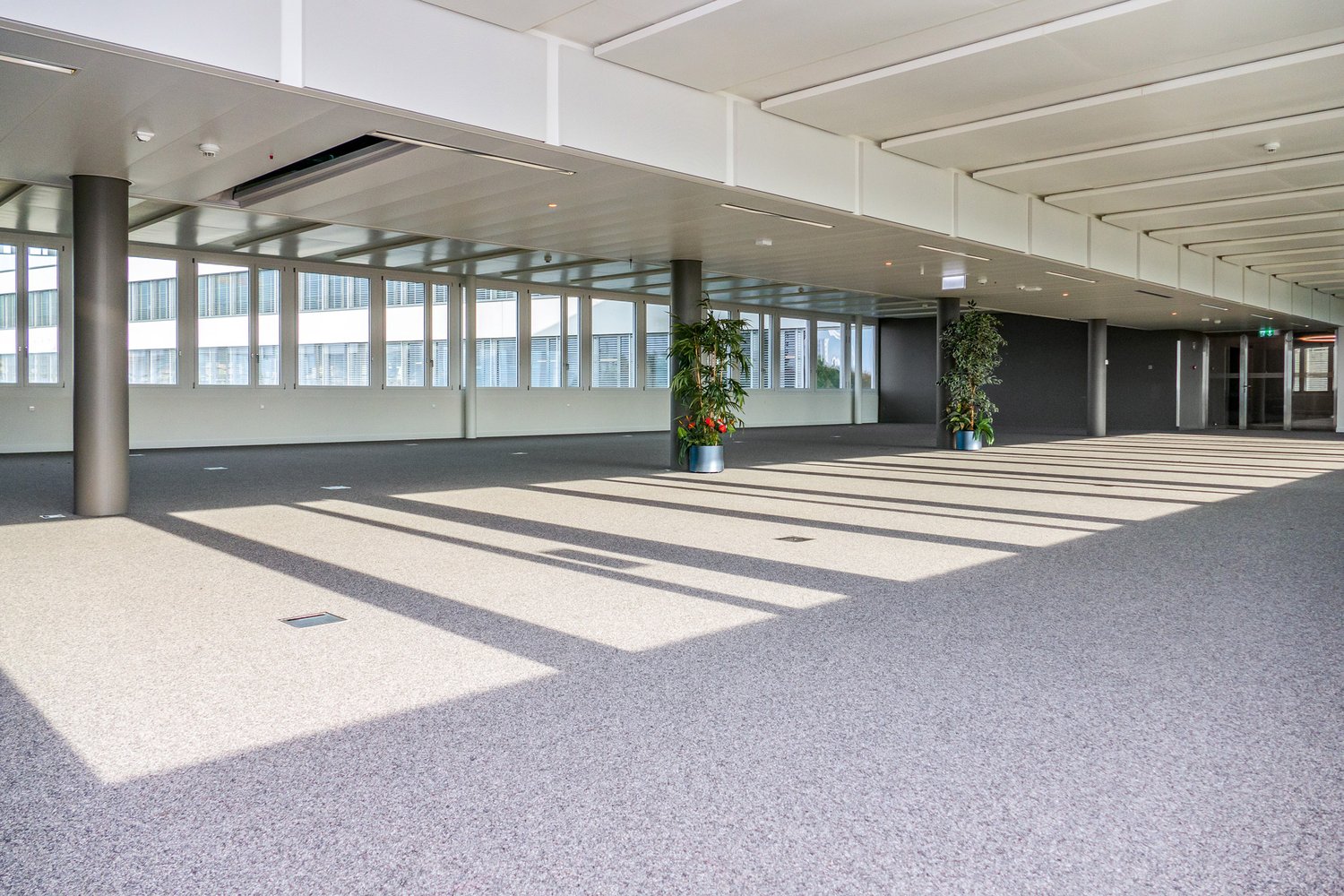 1424m² office