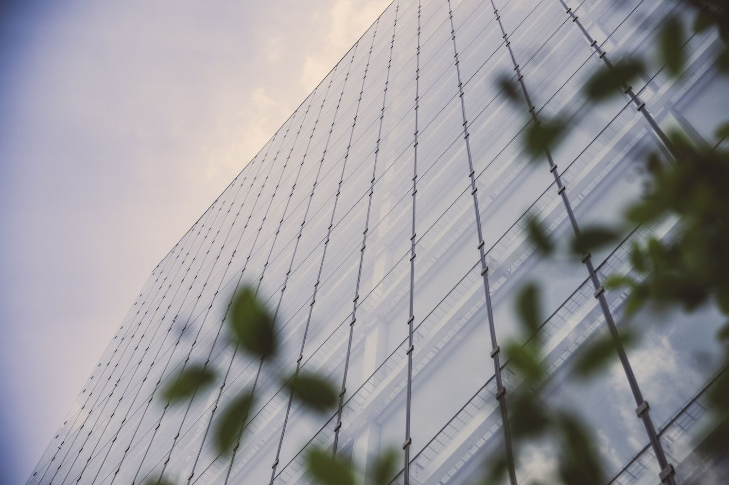 1443m² office