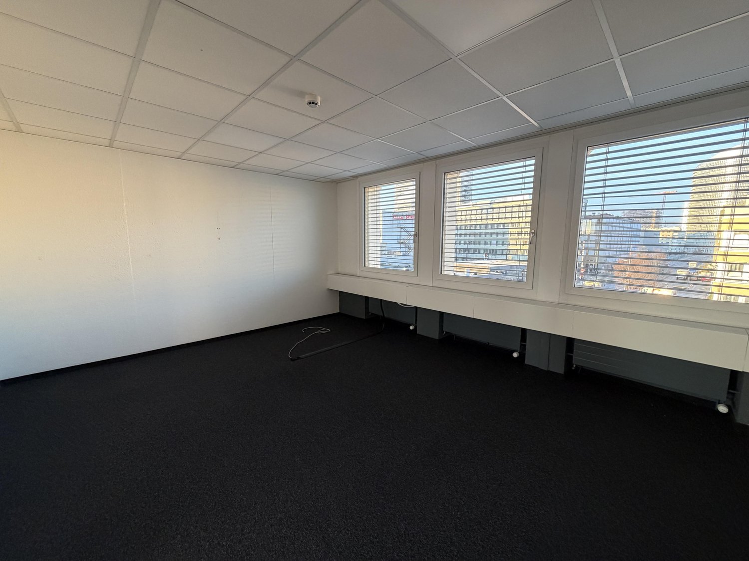 236m² office