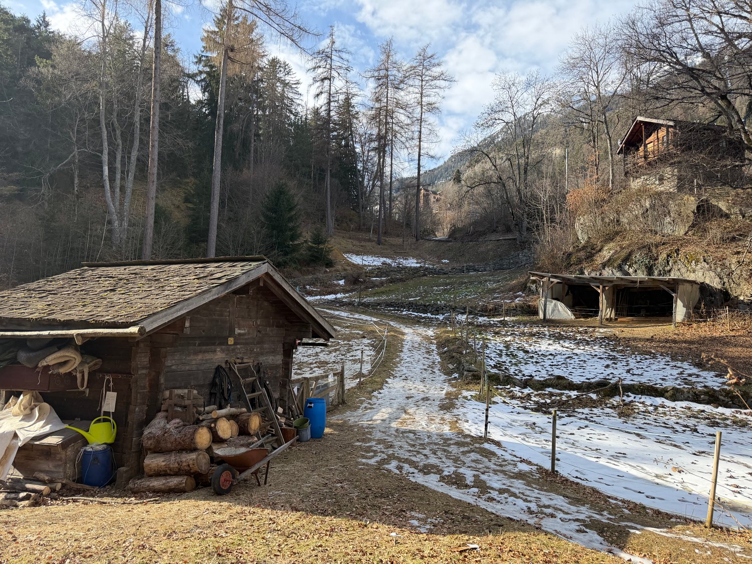 Living / commercial building