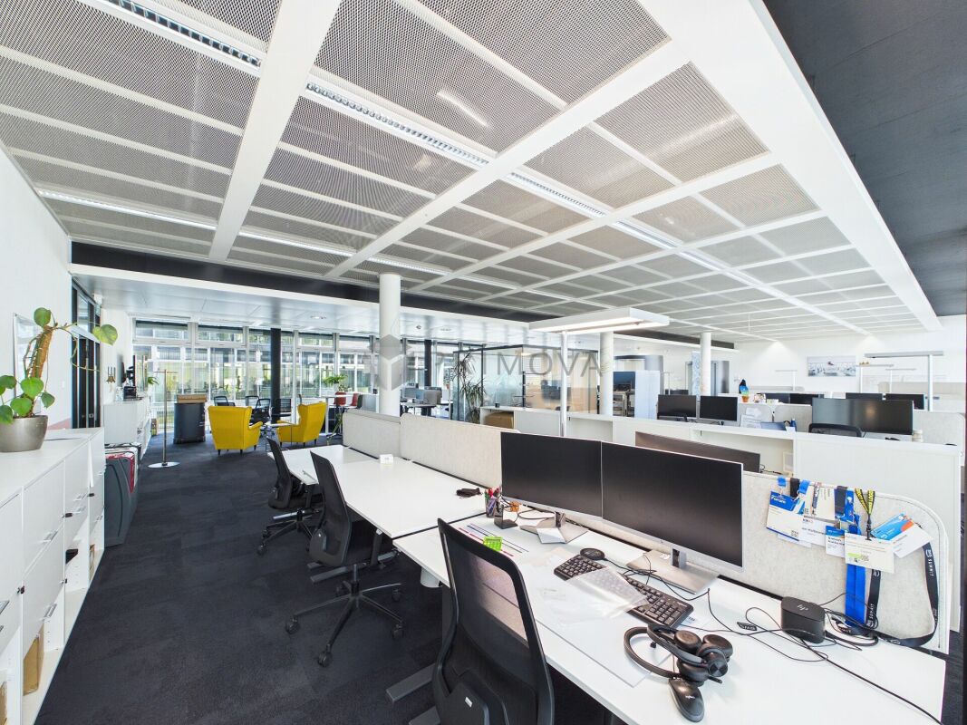 417m² commercial