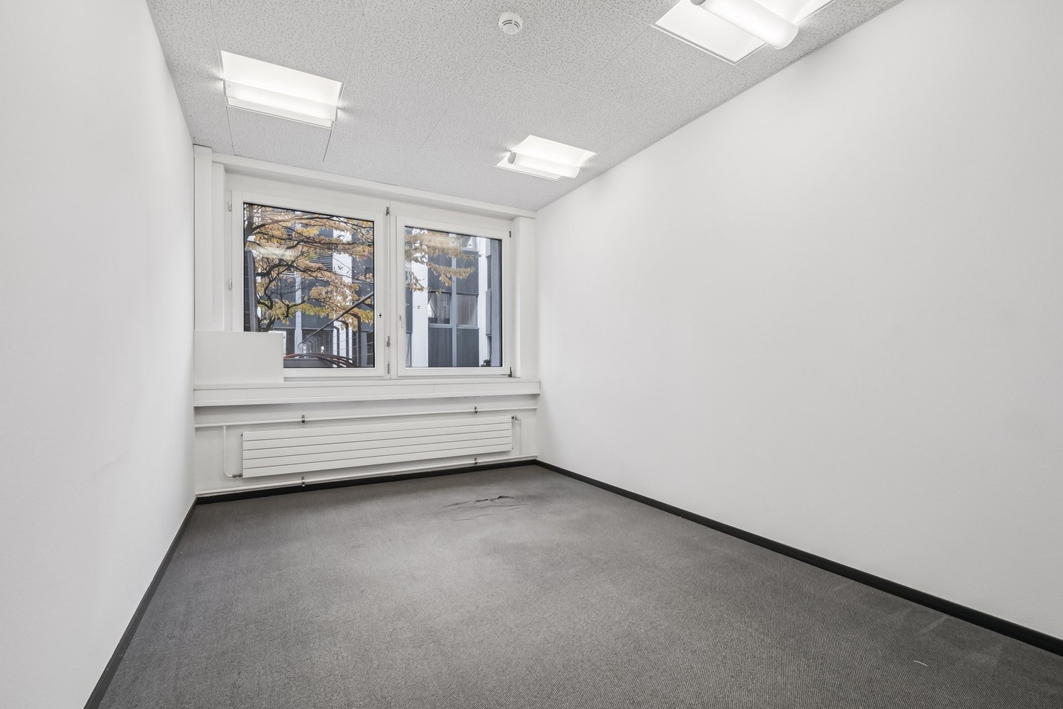 165m² office, Foto 5 von 10