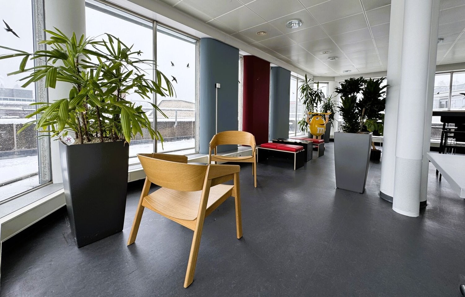 385m² office