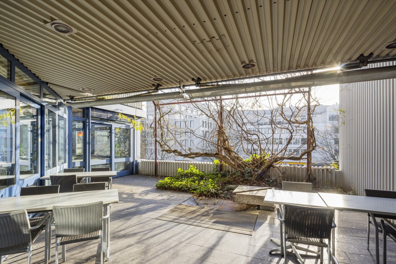 800m² restaurant