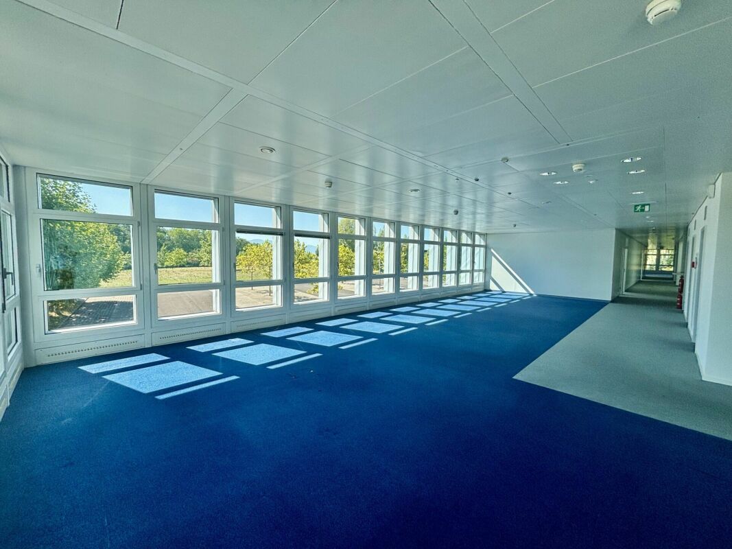 2600m² Büro, Foto 7 von 10