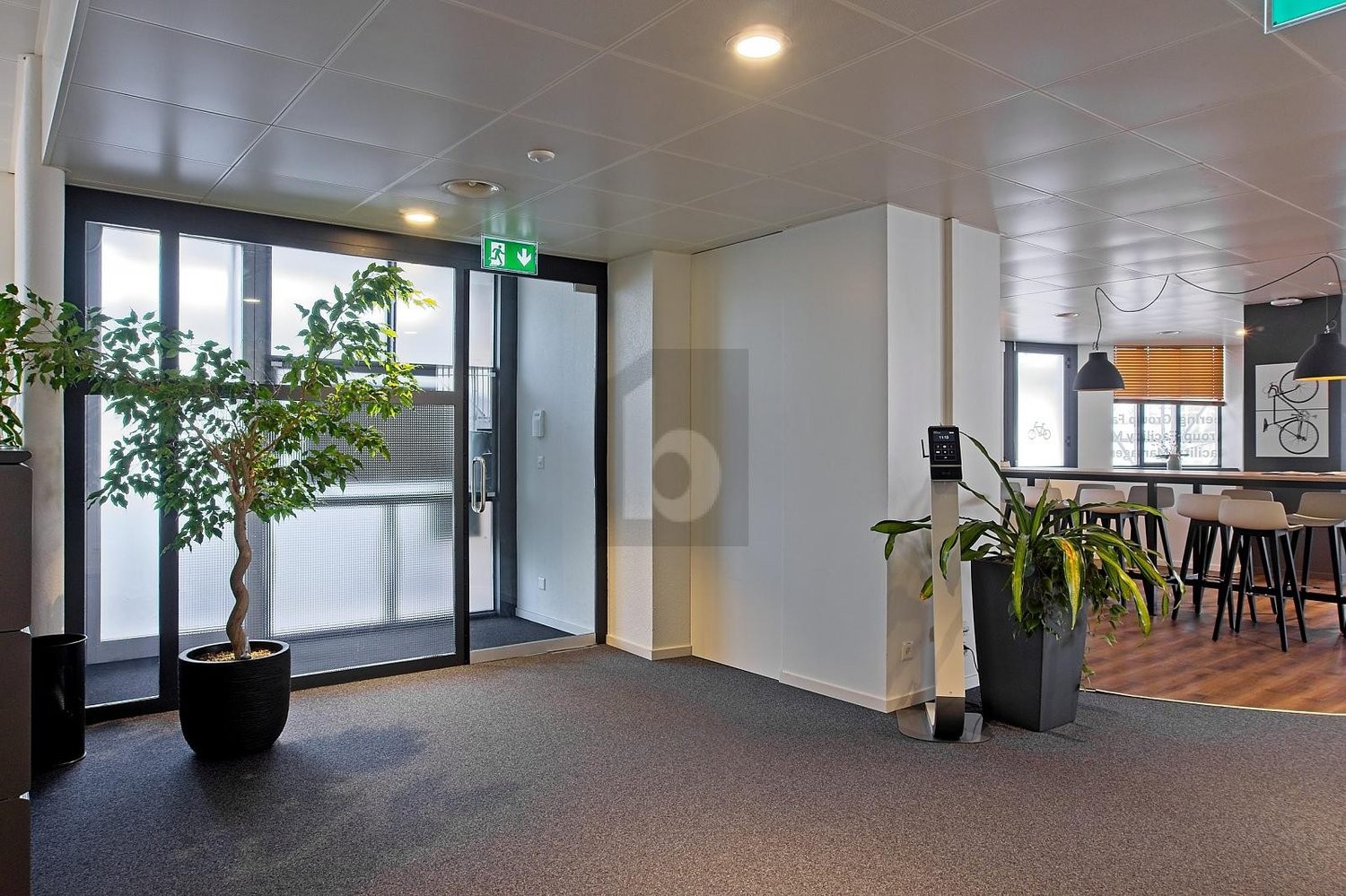 420m² office, Foto 3 von 4