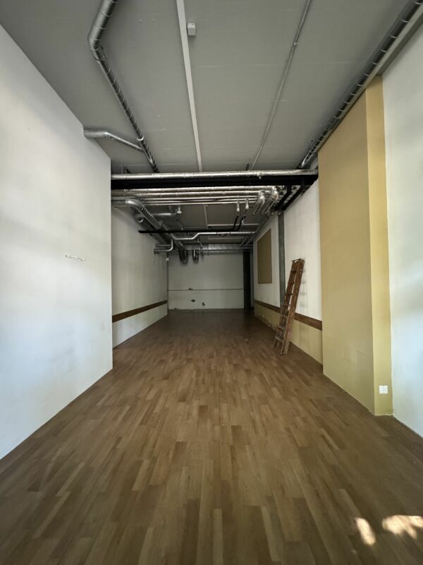 225m² commerciale