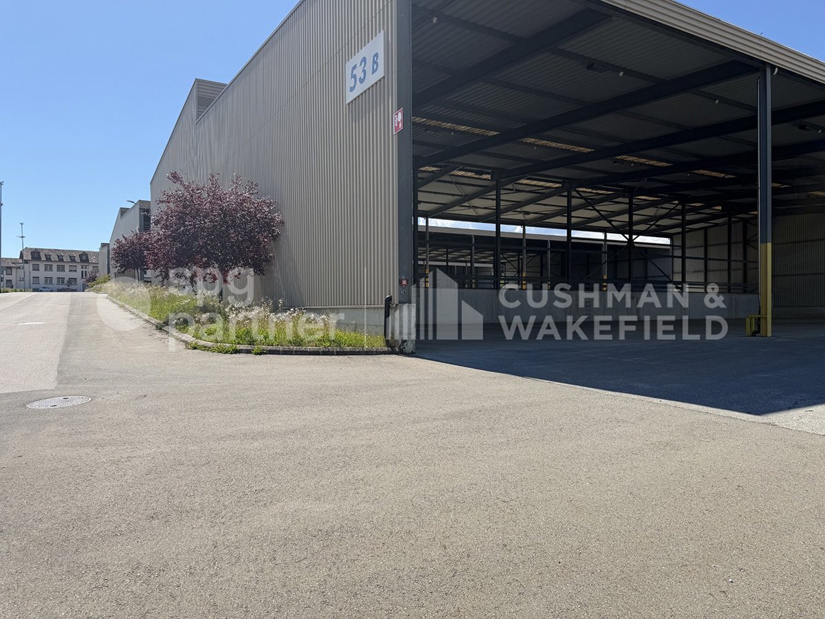 1000m² commercial