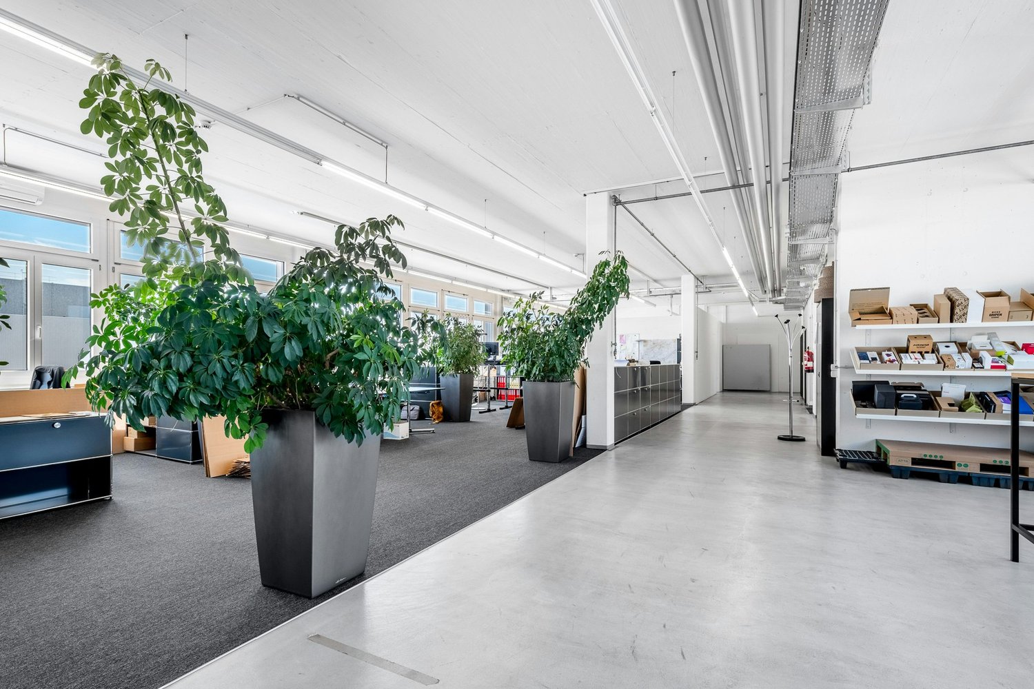 Commercial, Foto 1 von 7