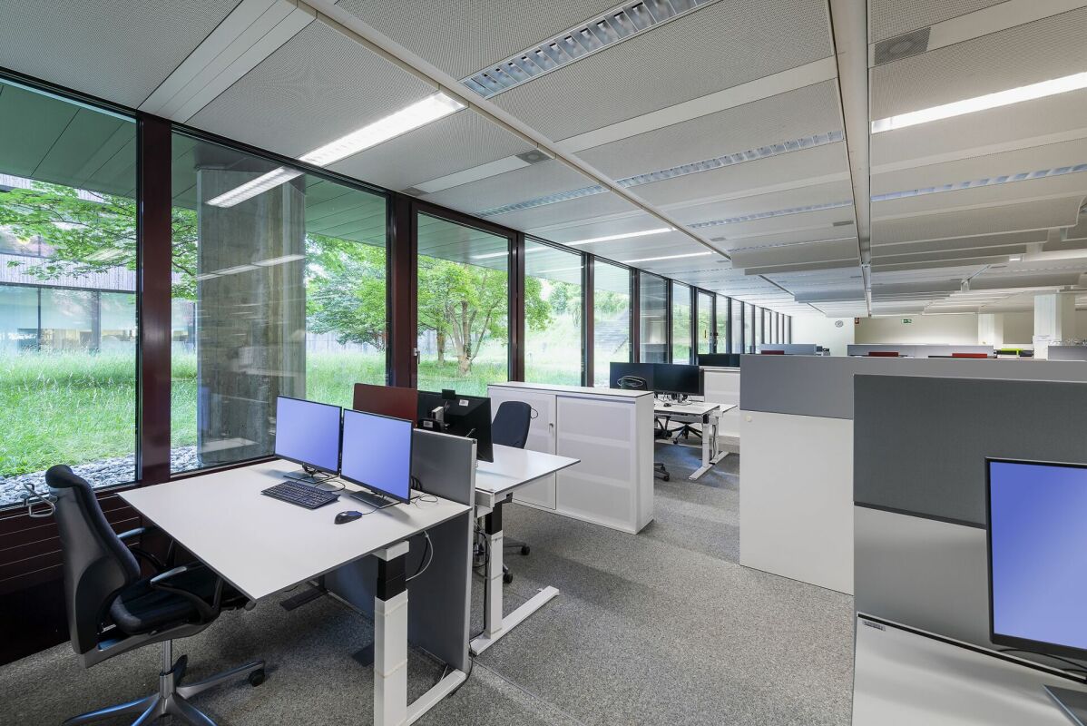 6194m² office