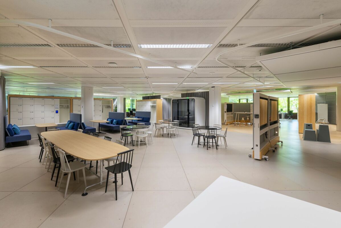 6194m² office