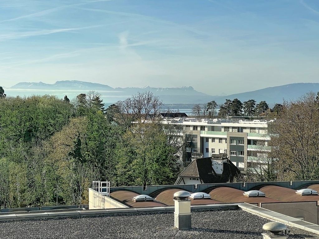 313m² Büro