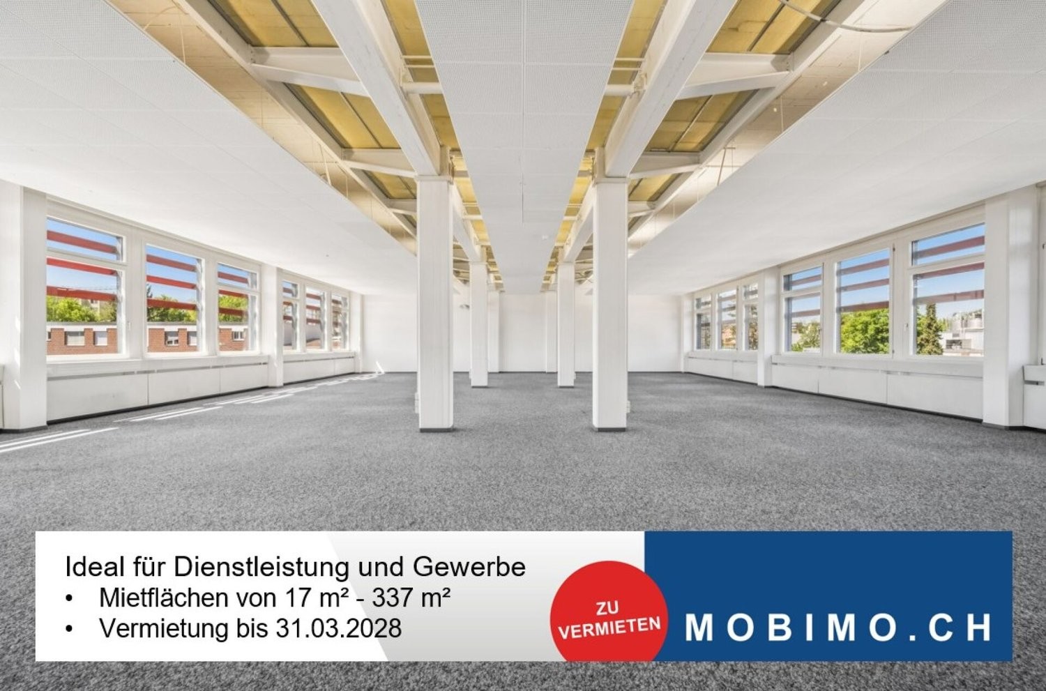31m² office