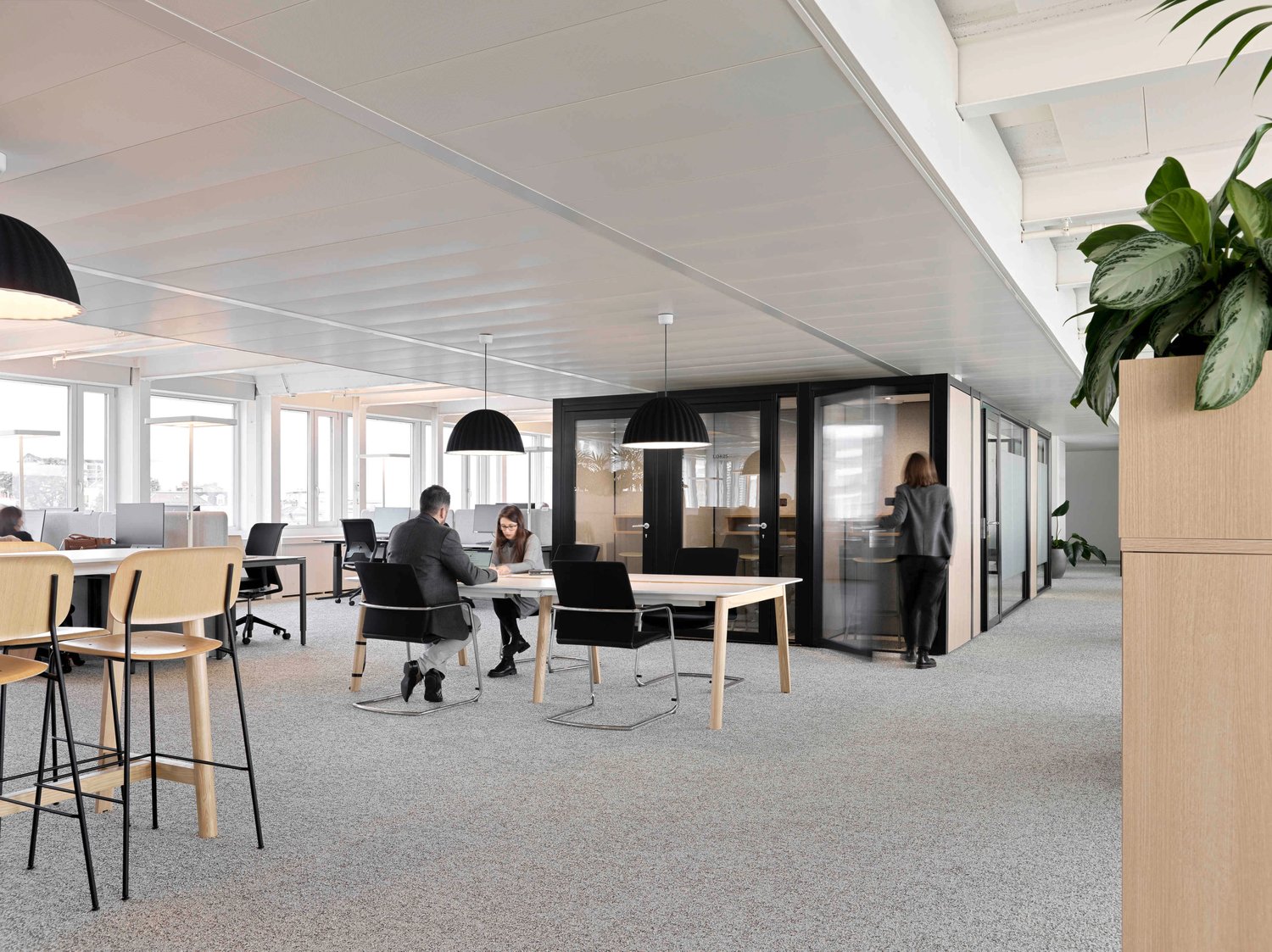 1294m² Büro