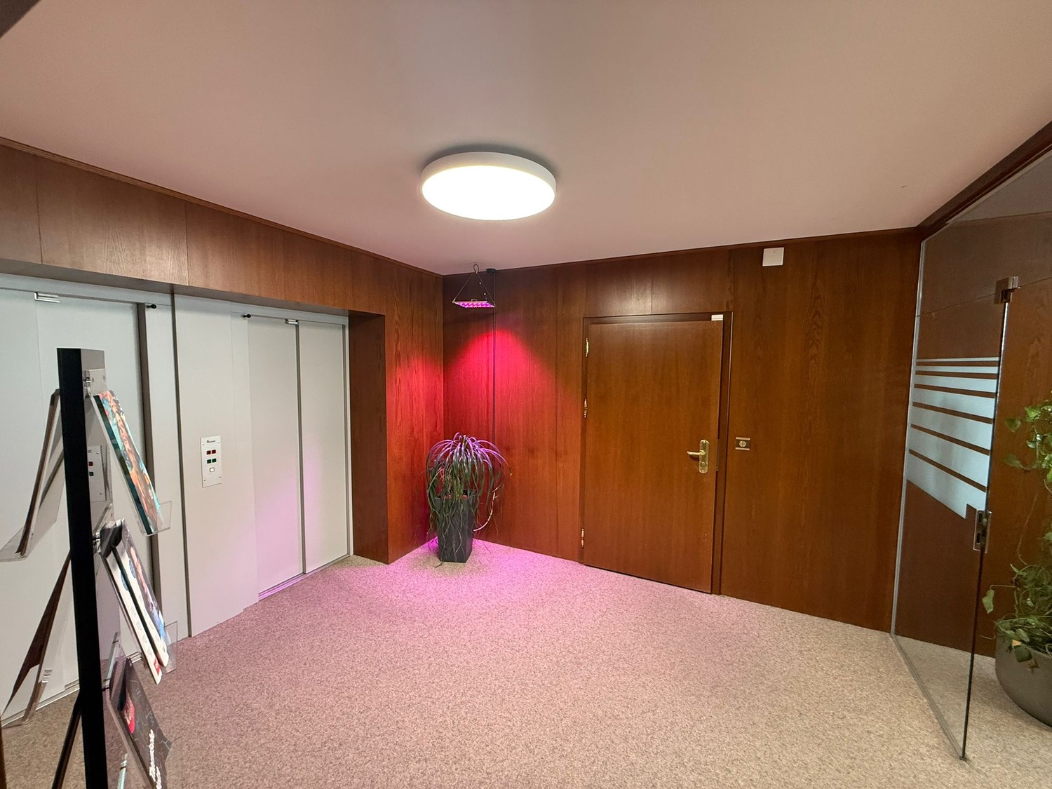 160m² commercial, Foto 5 von 10