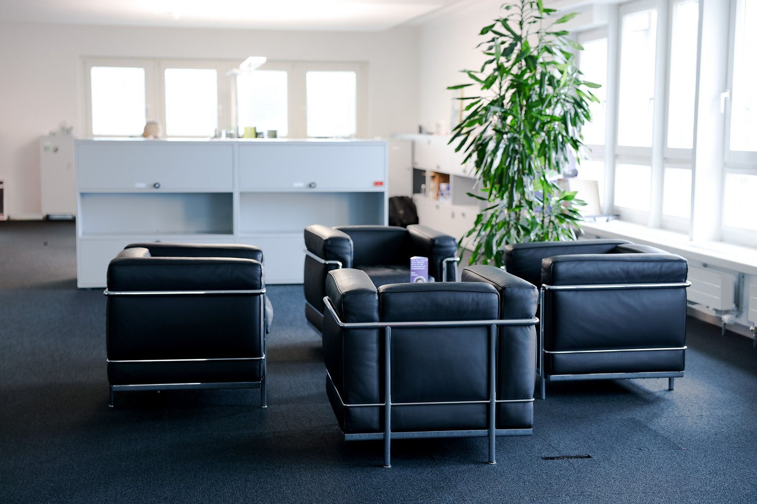 1586m² office