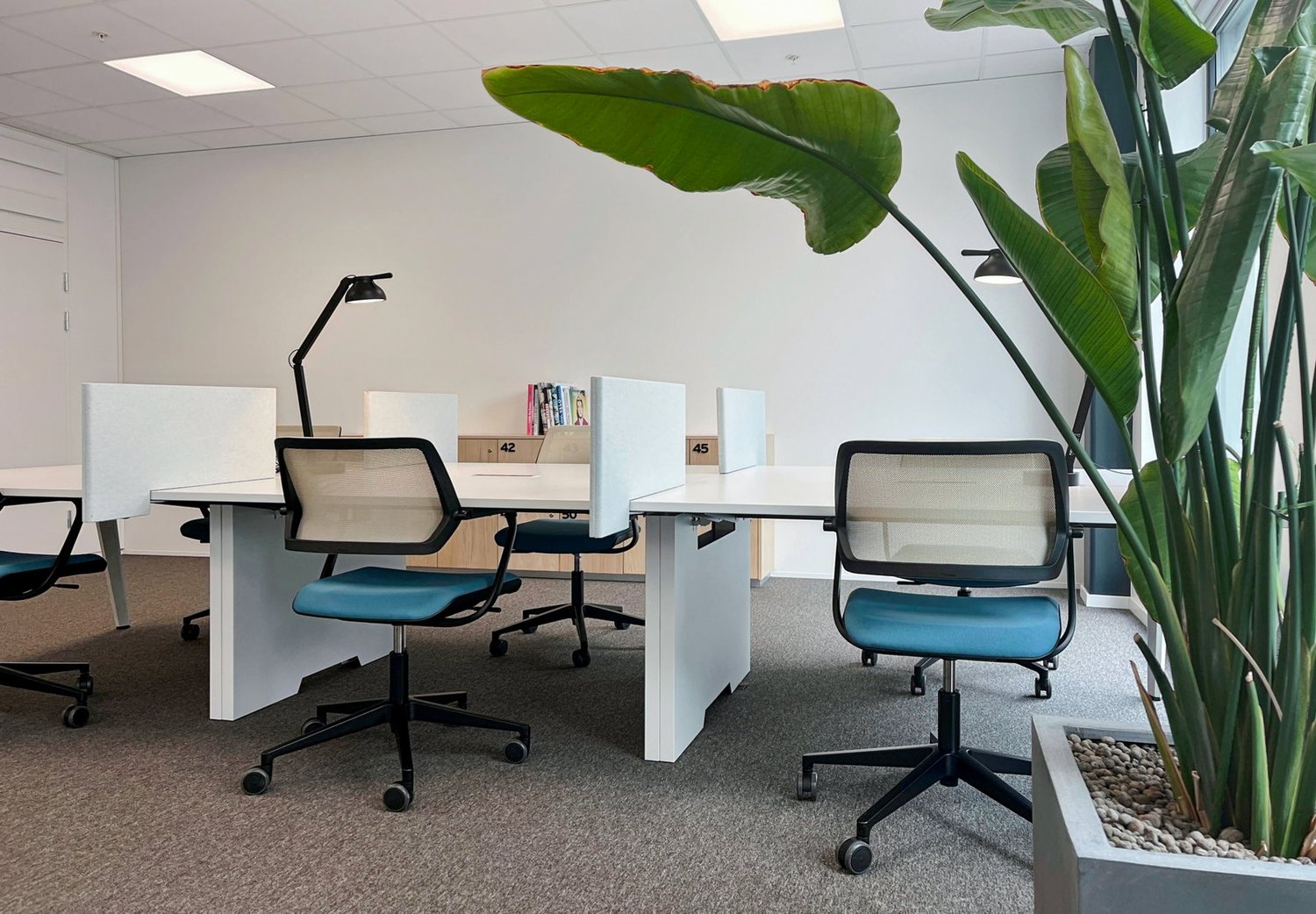 225m² office, photo 1 of 10