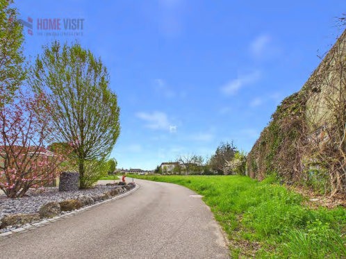 800m² commercial, Foto 10 von 10