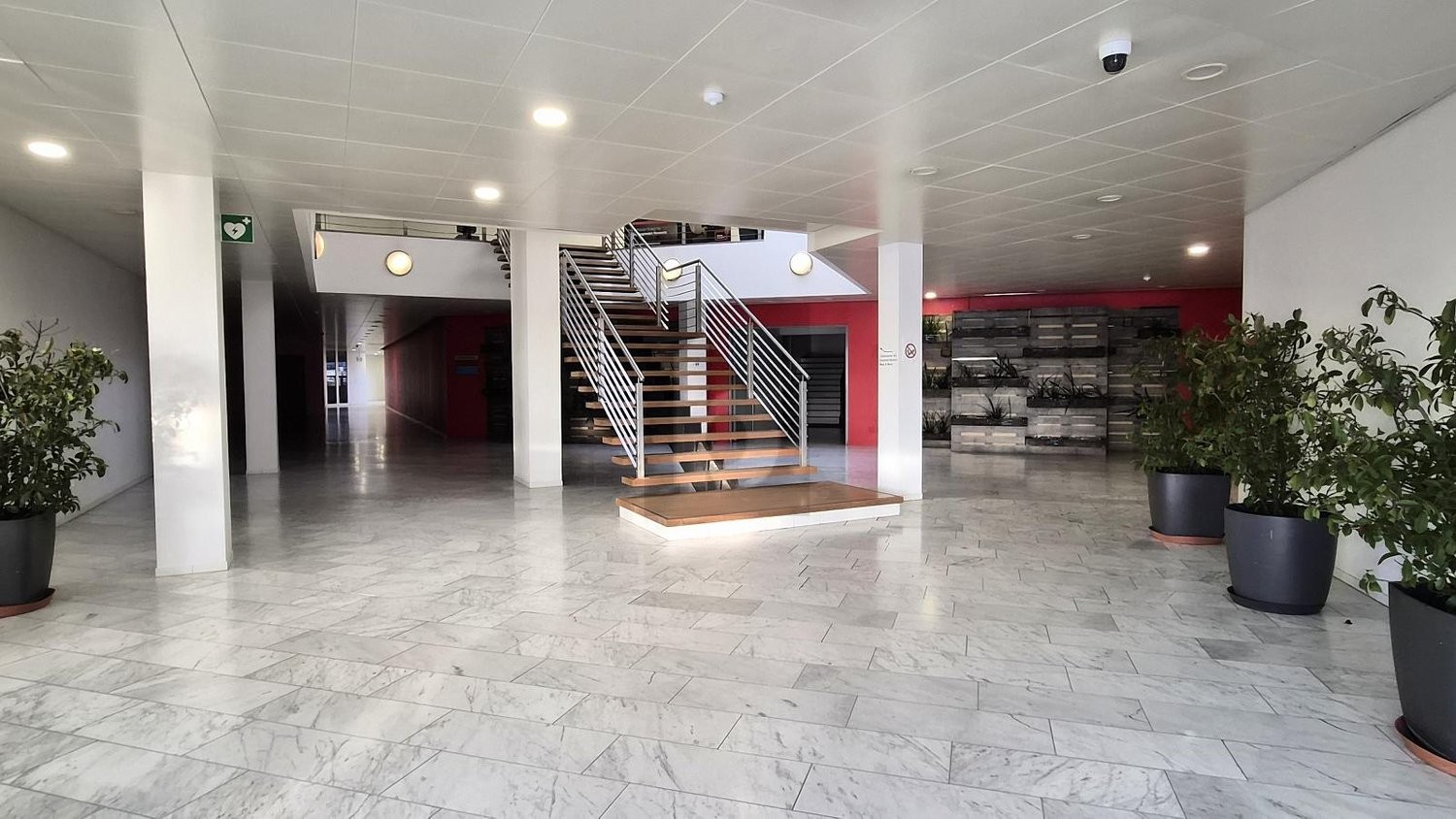 246m² office