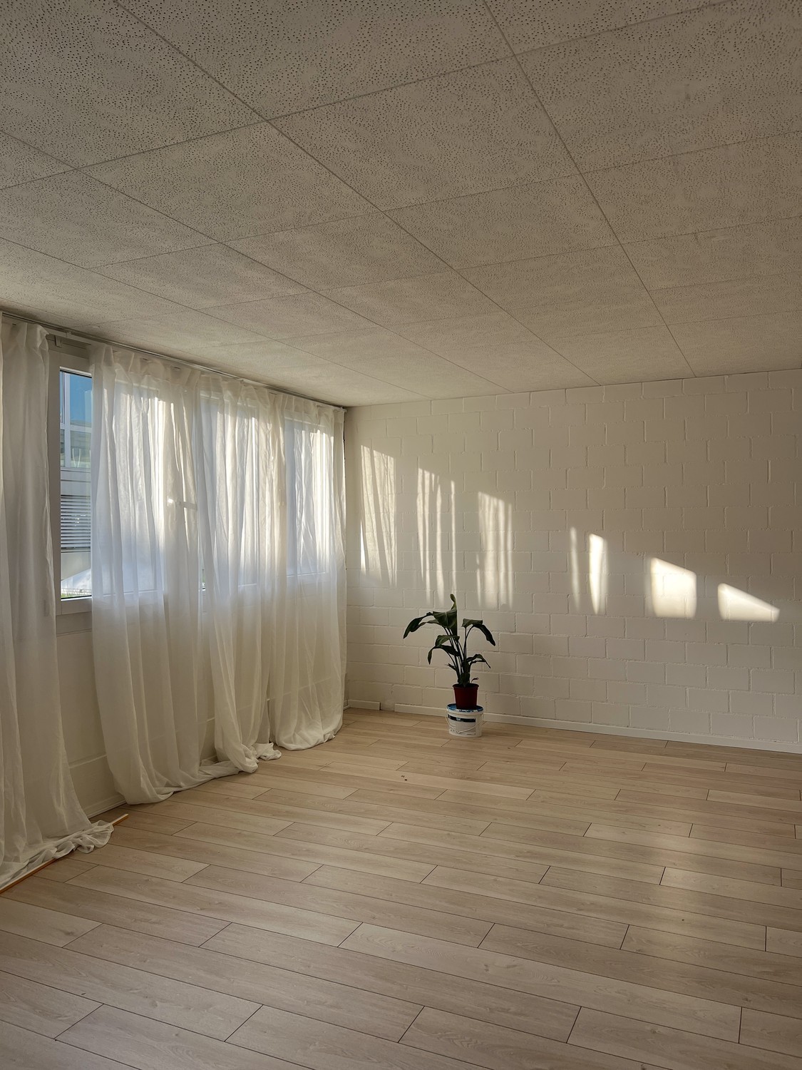 42m² office
