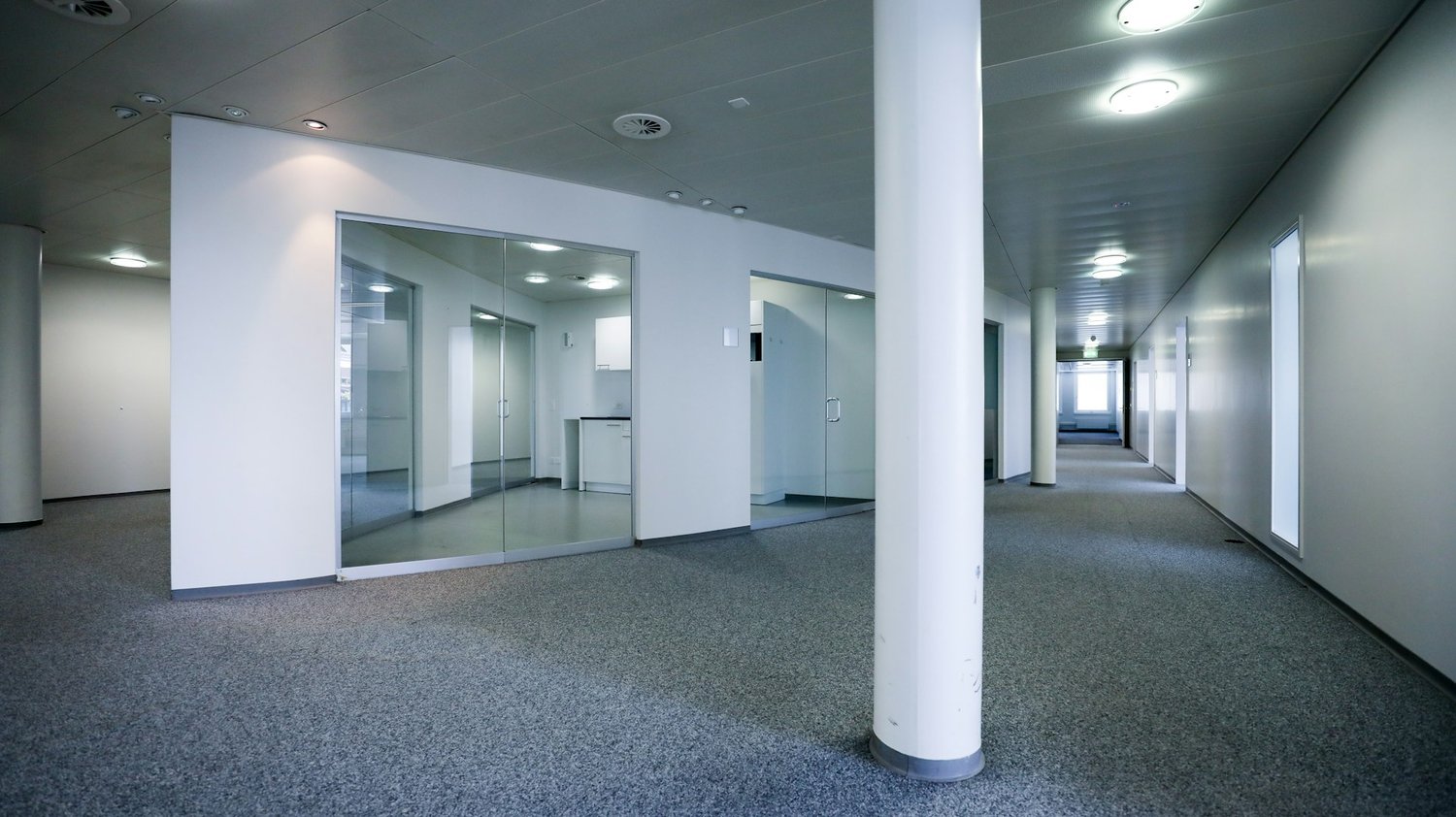 1129m² commercial