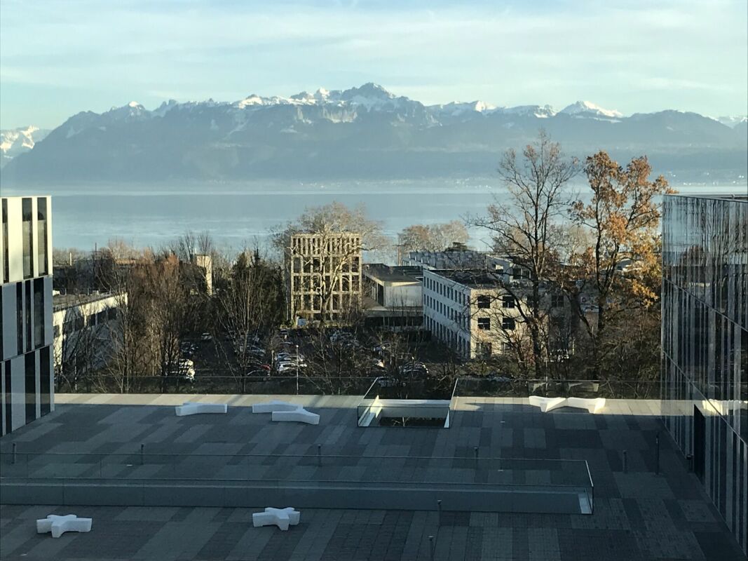 221m² office