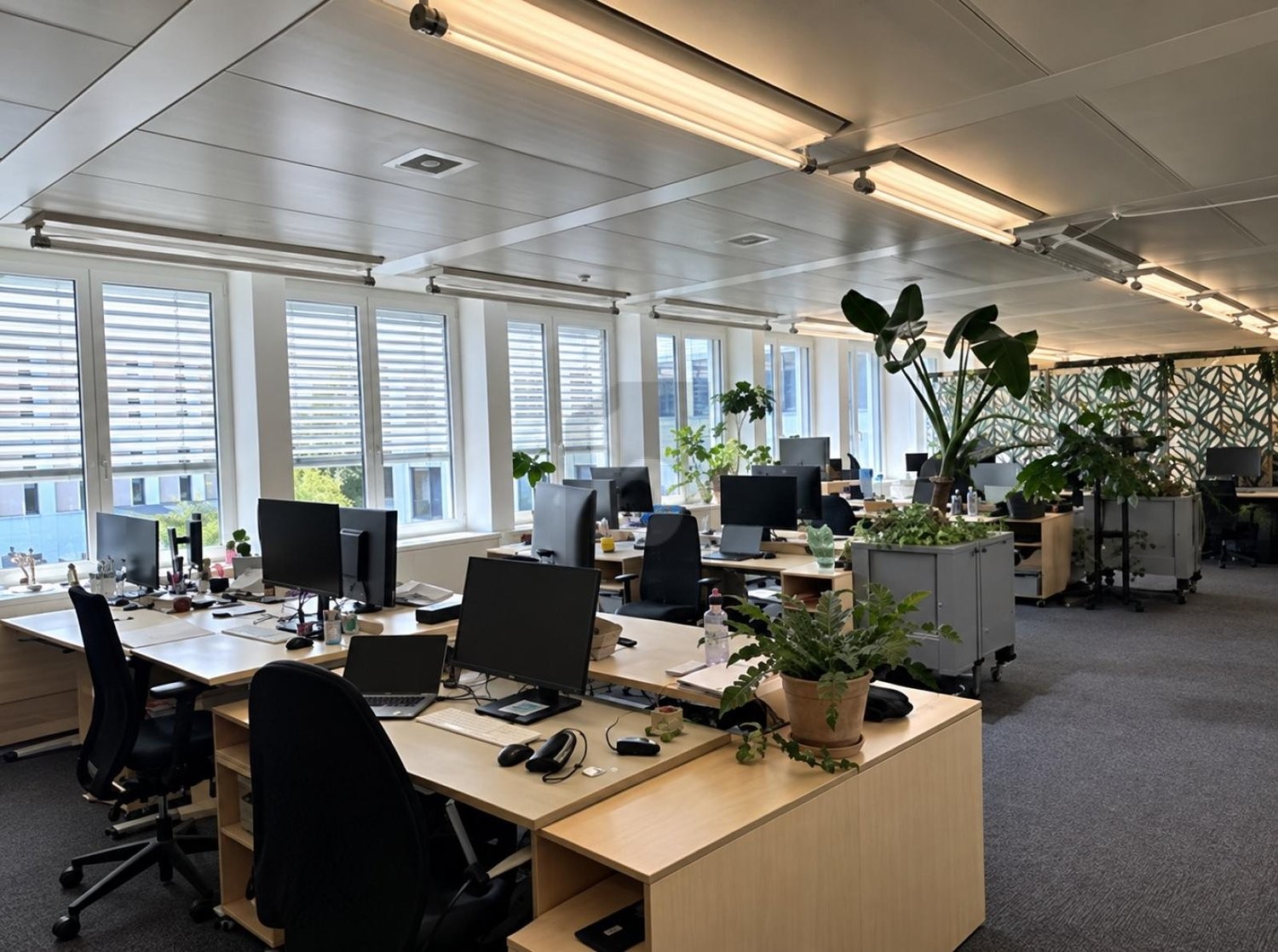 261m² office