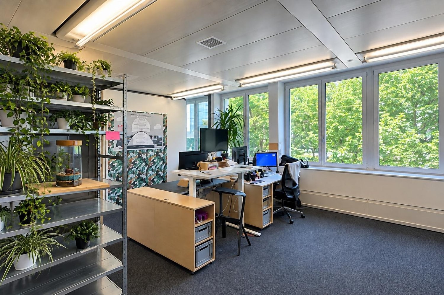261m² office