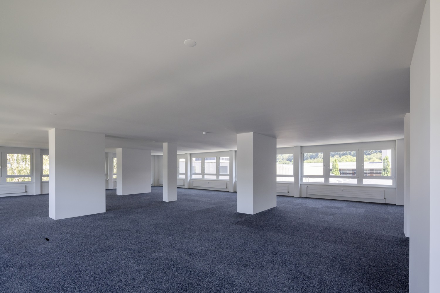 235m² office