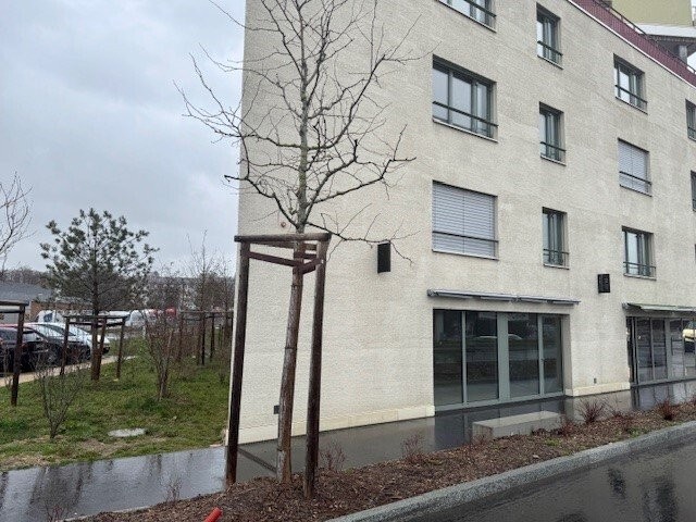 74m² commercial