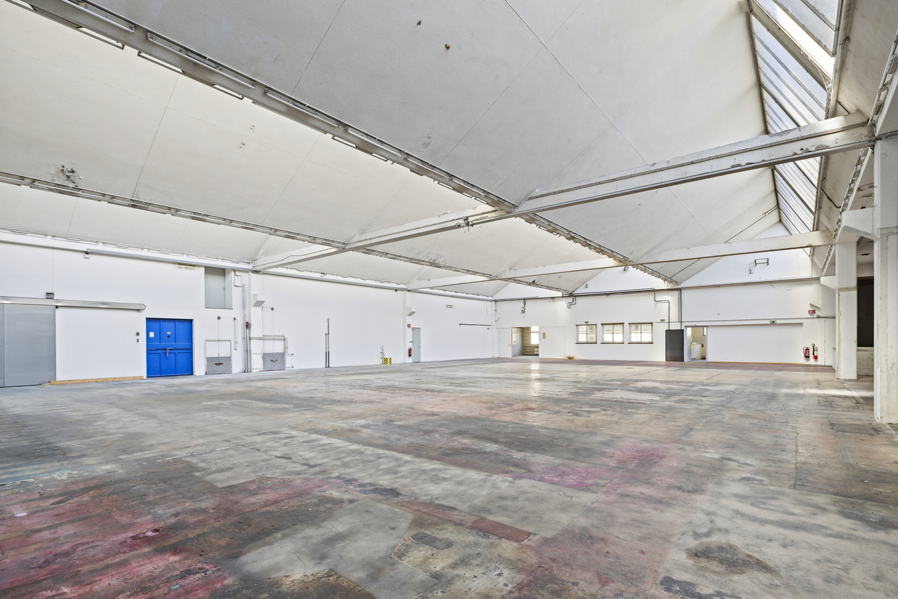 18500m² commercial