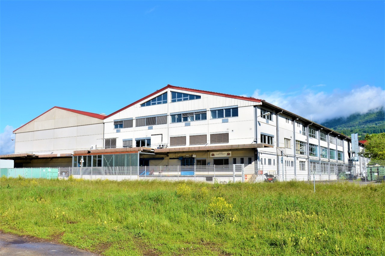 4530m² Industrieobjekt","description":"Gelegen in der **Industrie- und Gewerbezone von Onnens**, profitiert diese Logistikhalle von **4'530 m²** von einem **ausgezeichneten Zugang** für Lastwagen und Nutzfahrzeuge, nur **5 Minuten von der Autobahn entfernt**, und verfügt über einen **direkten Anschl, Foto 3 von 7