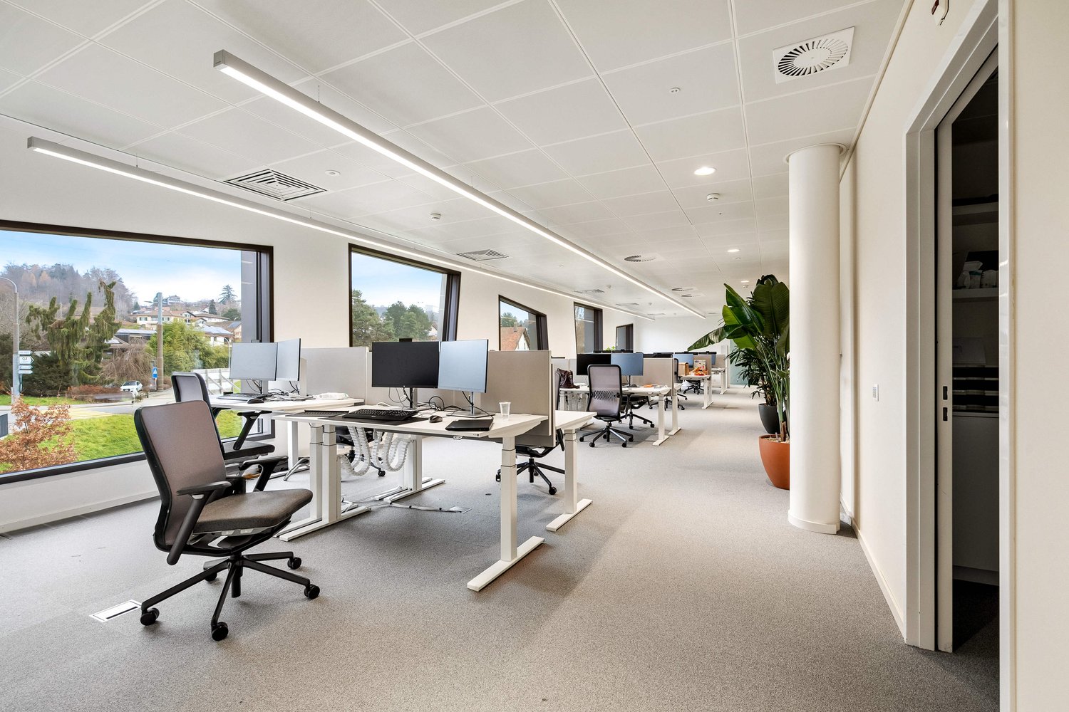 1000m² office