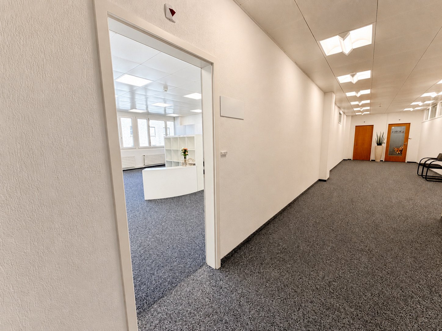 52m² office, Foto 2 von 5