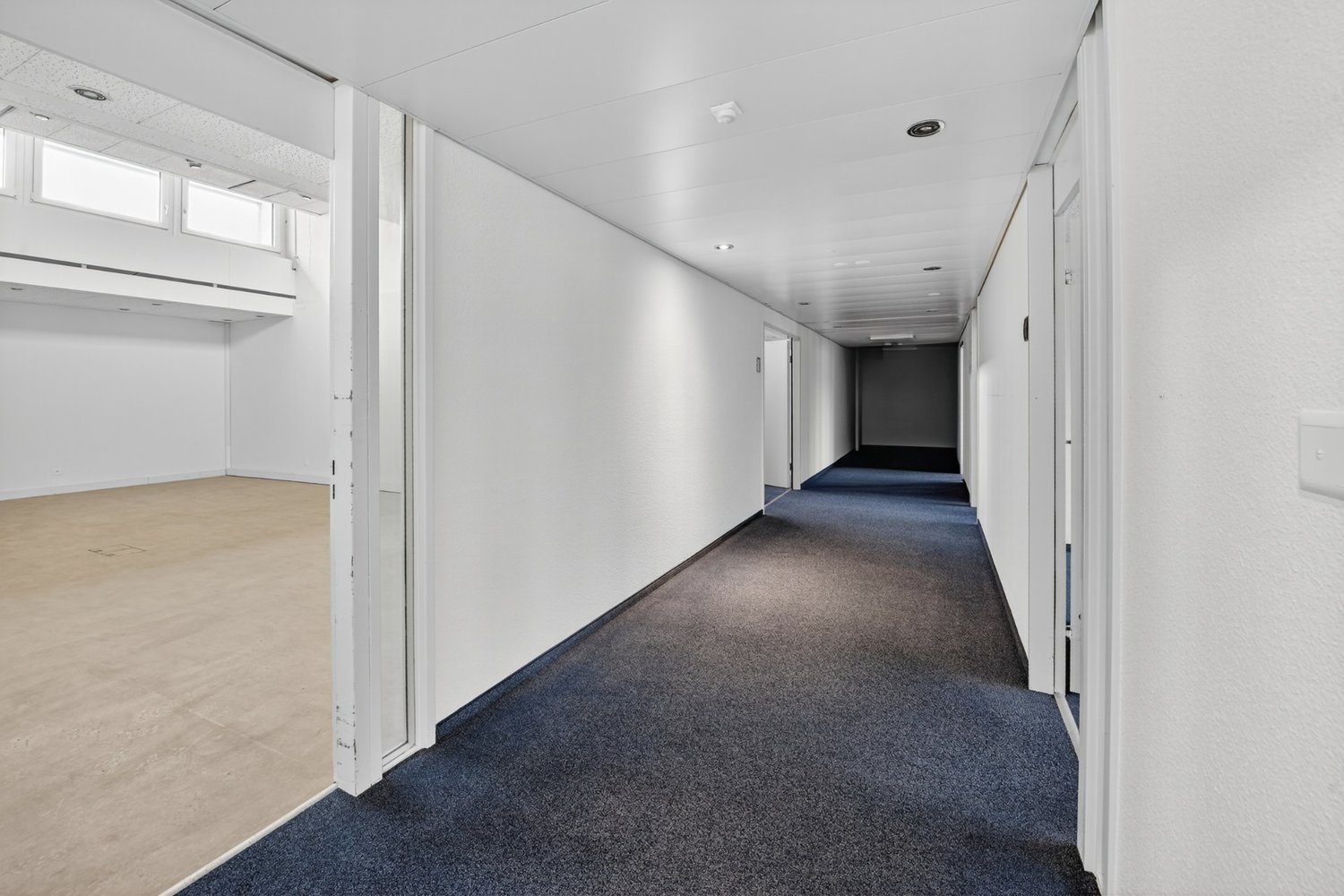 292m² office