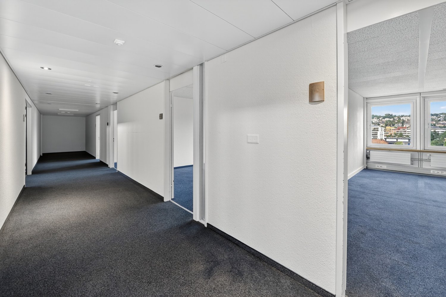 292m² office