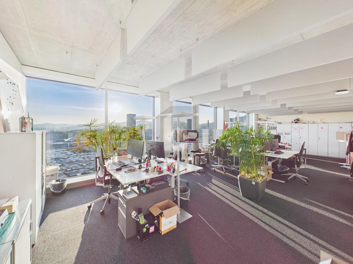 334m² office