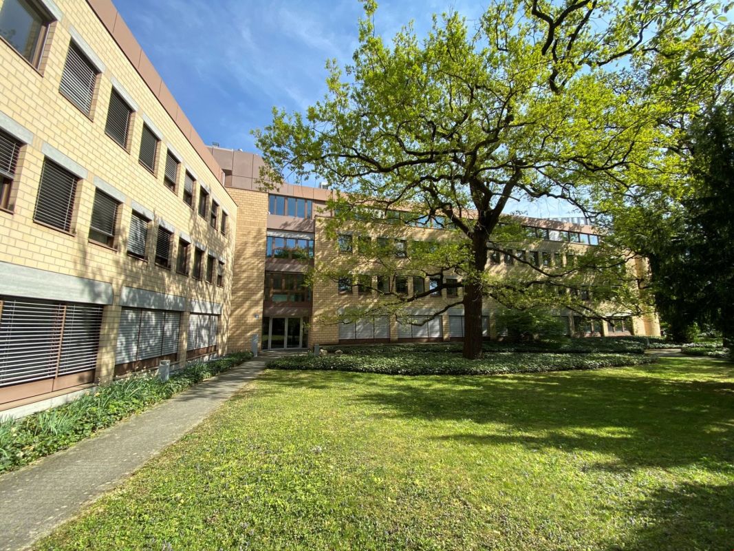 19m² office