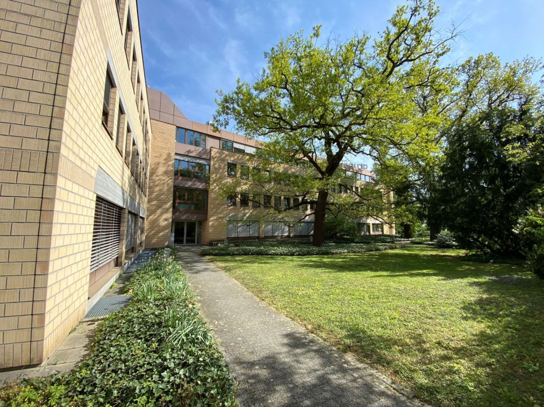 19m² office